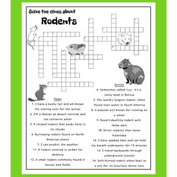 rodent type crossword clue